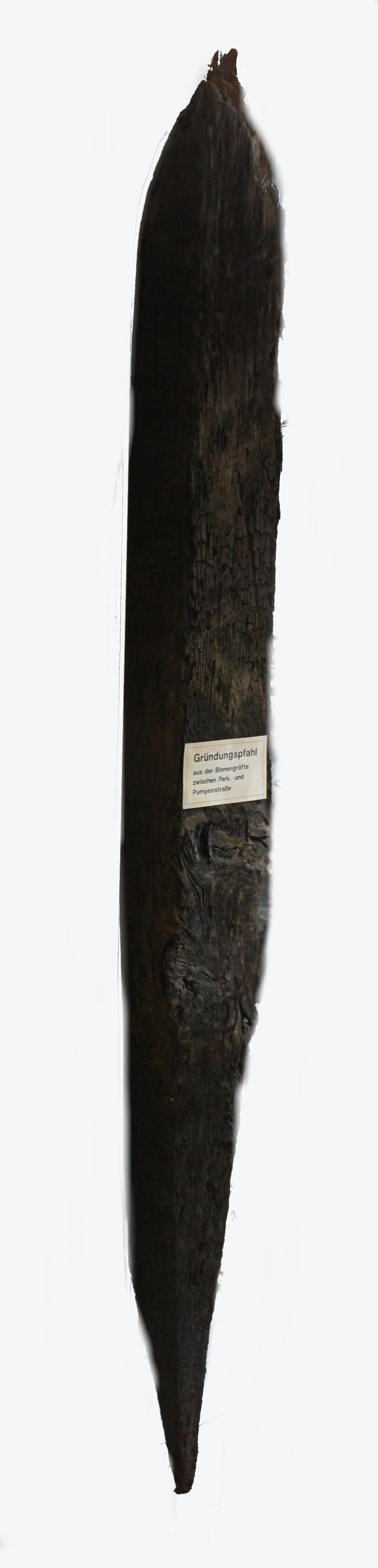 Gründungspfahl (Drilandmuseum CC BY-NC-SA)