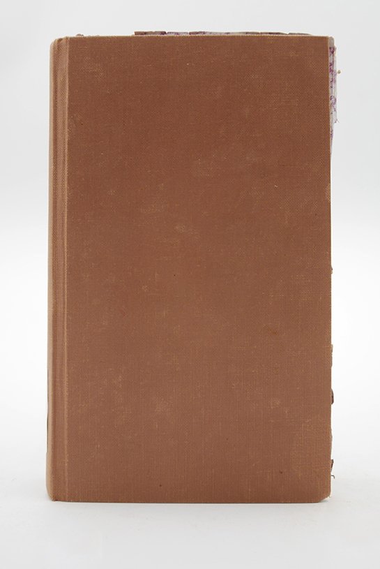 Kochbuch: Henriette Davidis: "Praktisches Kochbuch" (1873) (Deutsches Kochbuchmuseum CC BY-NC-SA)