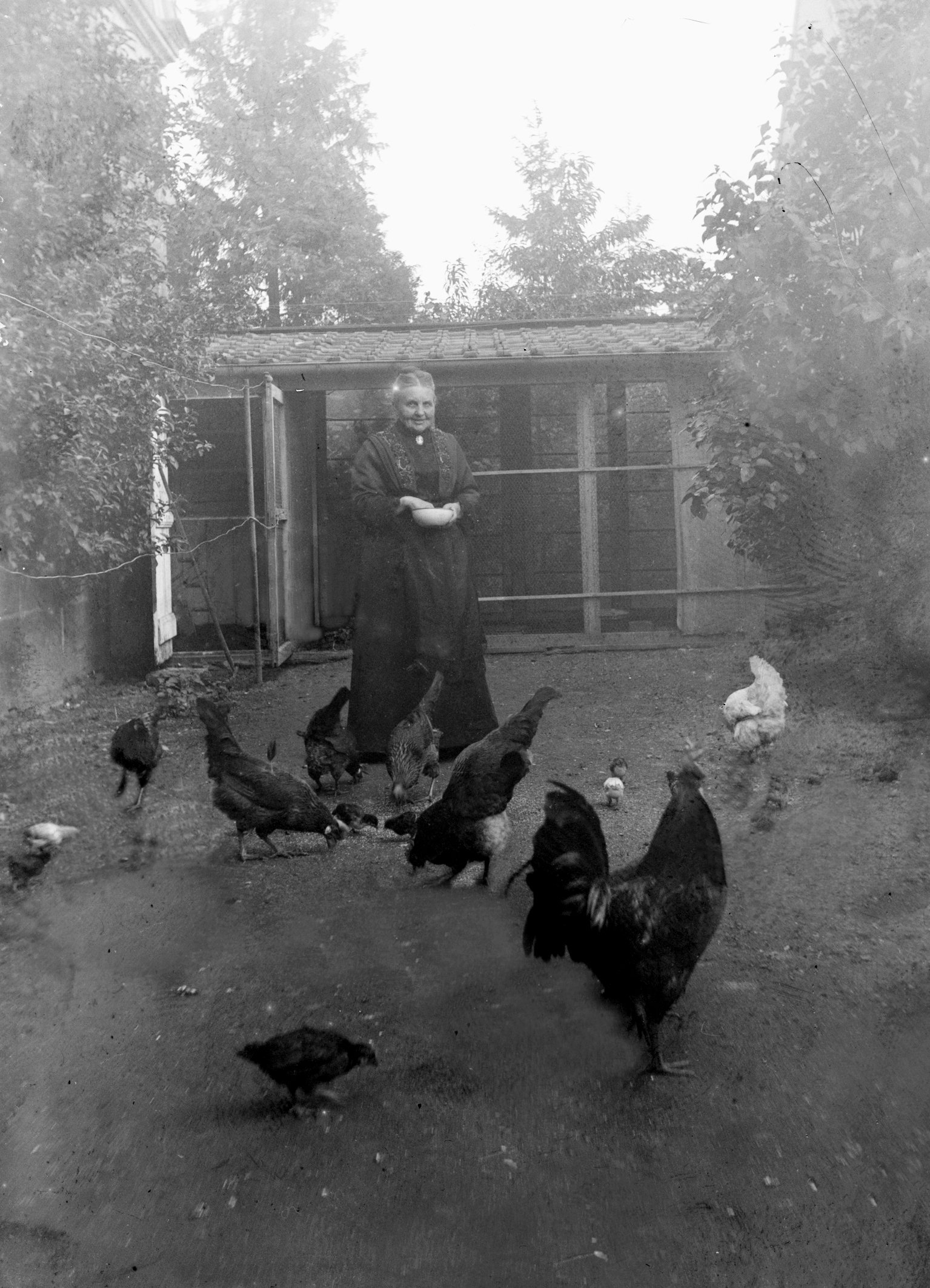 Glasplattennegativ, Großmama Bauer füttert ihre Hühner (Seminar für Kulturanthropologie des Textilen an der Technischen Universität Dortmund CC BY-NC-SA)