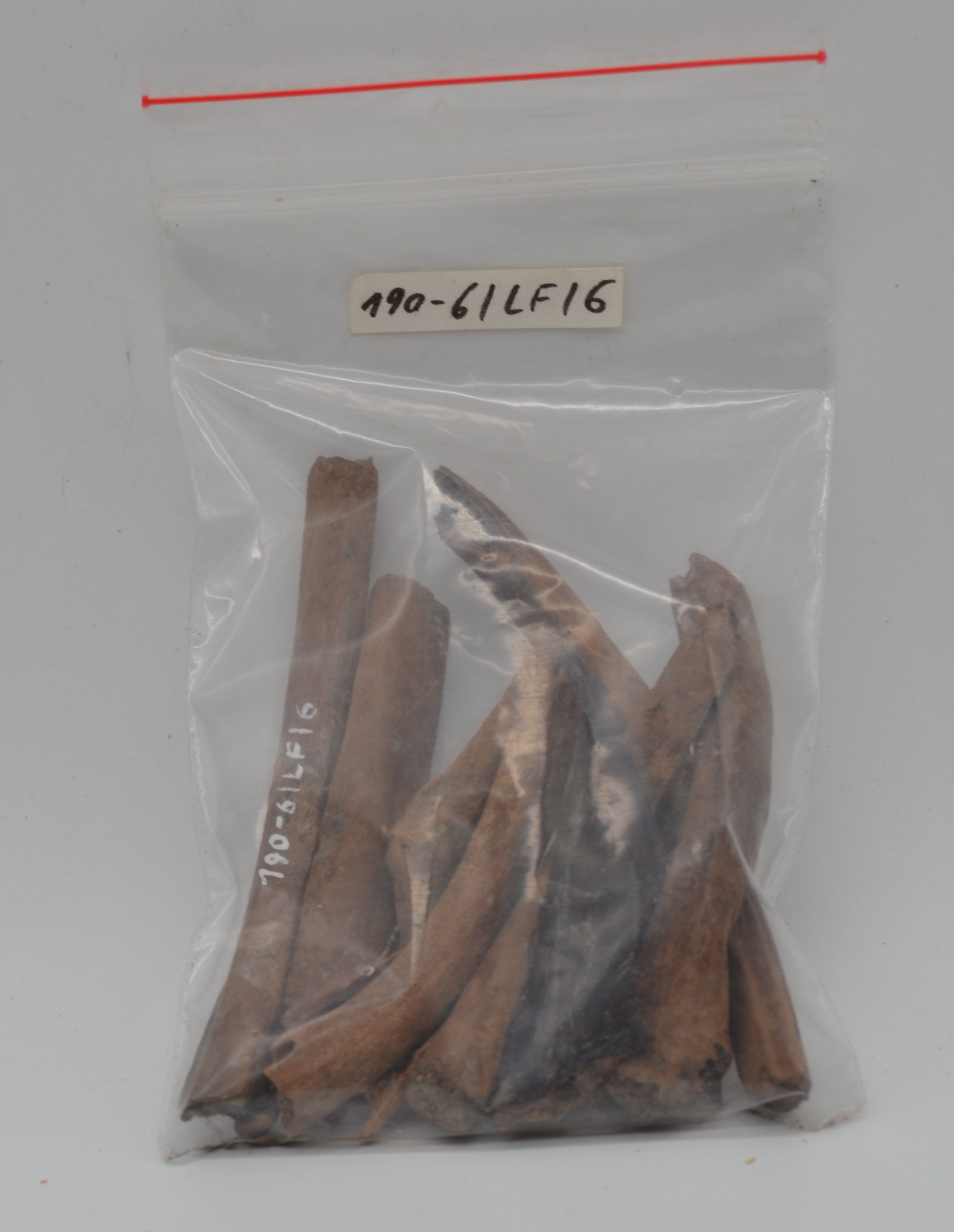 verschiedene Tierknochen (Museum des Heimatvereins Hörde CC BY-NC-SA)