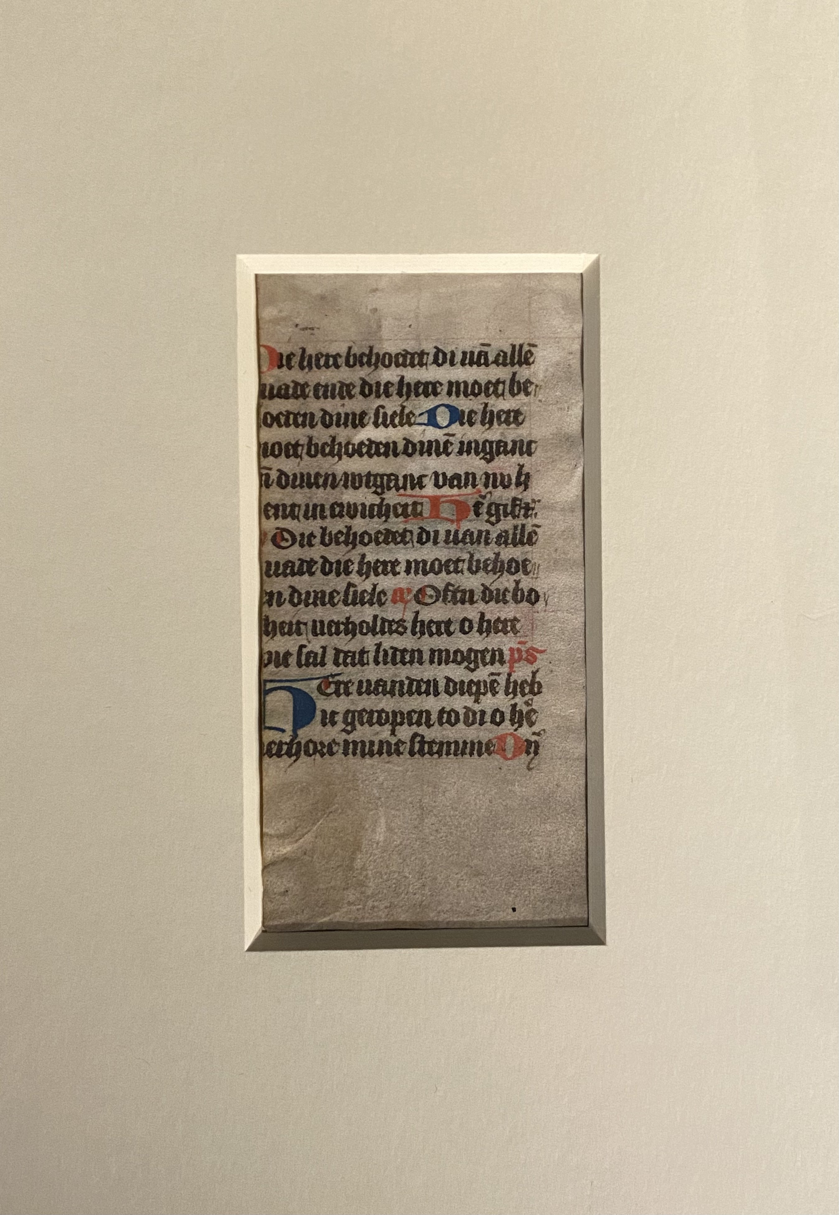 handschriftliches Gebetbuchfragment (Psalmen) (Bibelmuseum der WWU Münster CC BY-NC-SA)