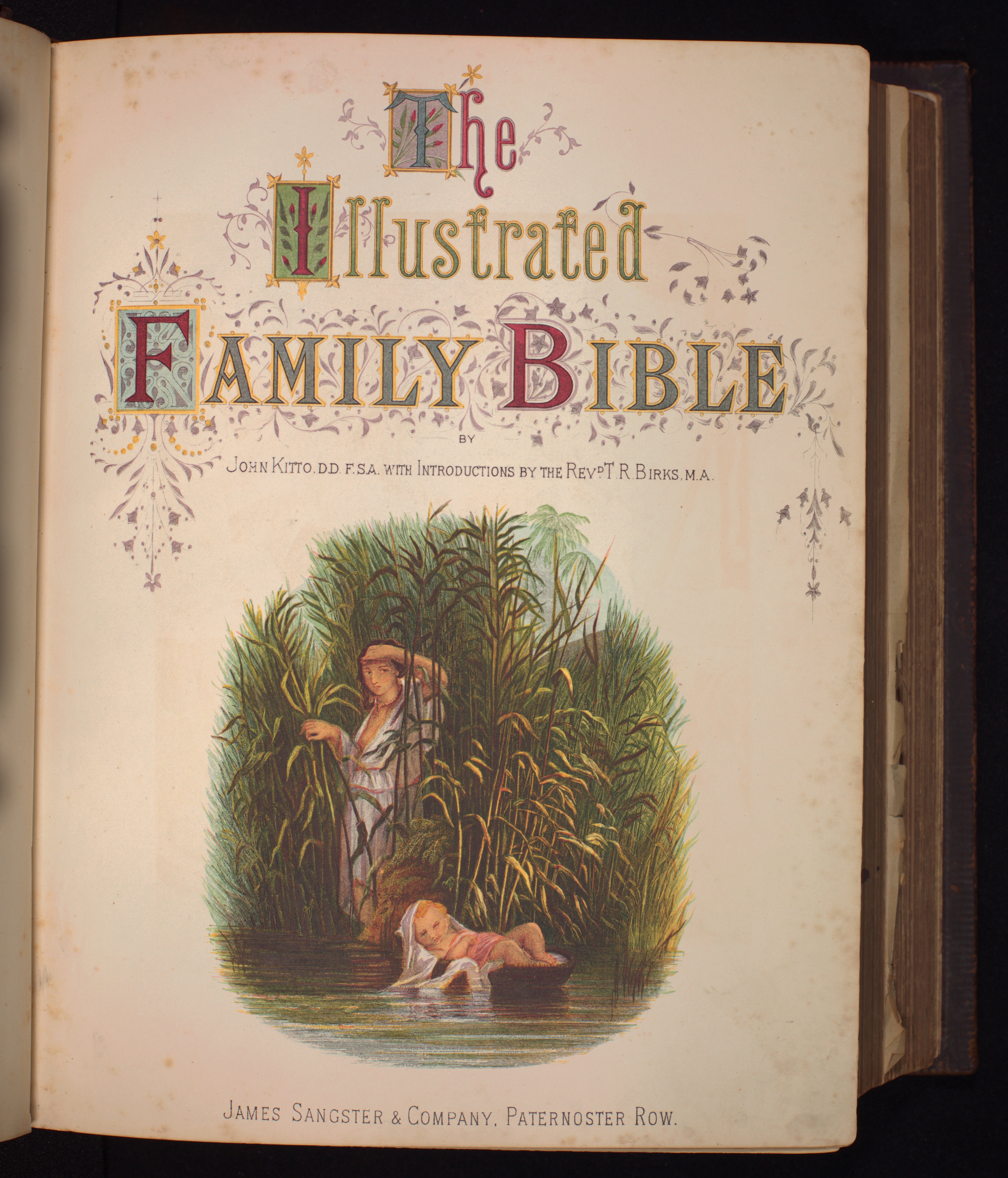 Illustrated Family Bible, 1870 (Bibelmuseum der WWU Münster CC BY-NC-SA)