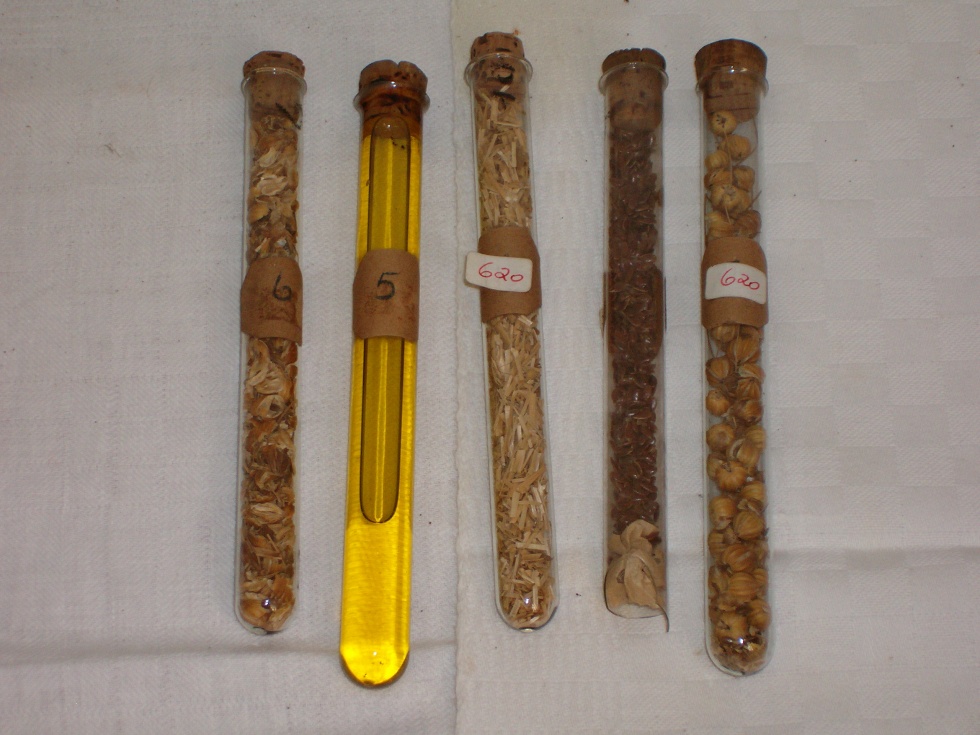 5 Reagenzgläser (Heimatmuseum der Stadt Marsberg CC BY-NC-SA)